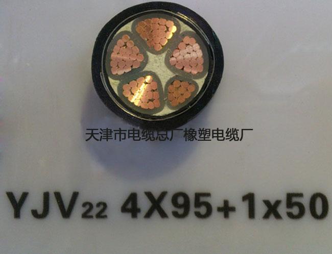 电线电缆选购指南 聚焦天津市电缆总厂橡塑电缆厂